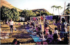 Fiji vendors