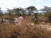 Woman working, son watching