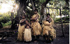 Tanna dancers